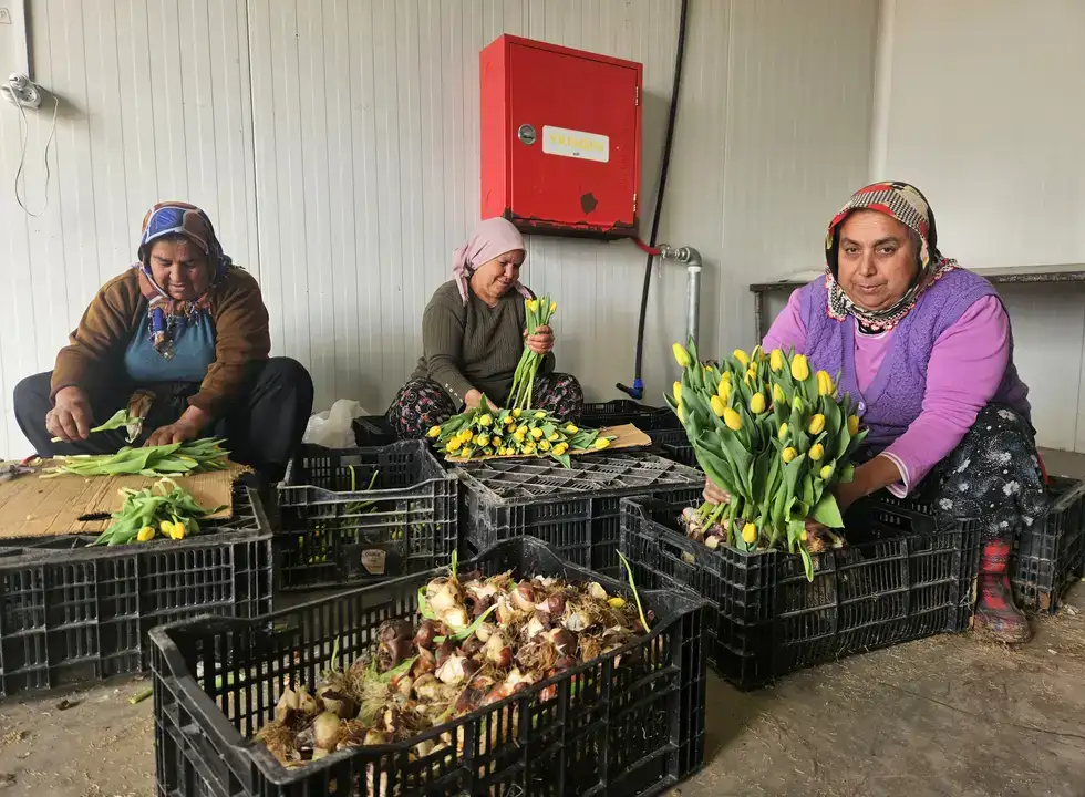 Antalya’nın Gururu Suda Laleler Kadınlar Günü'ne Hazır 2